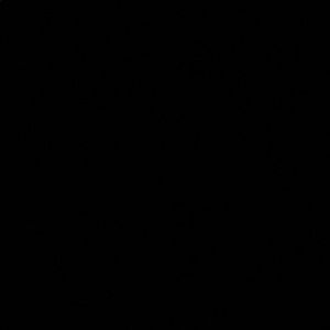 Meet your Posher, Paul